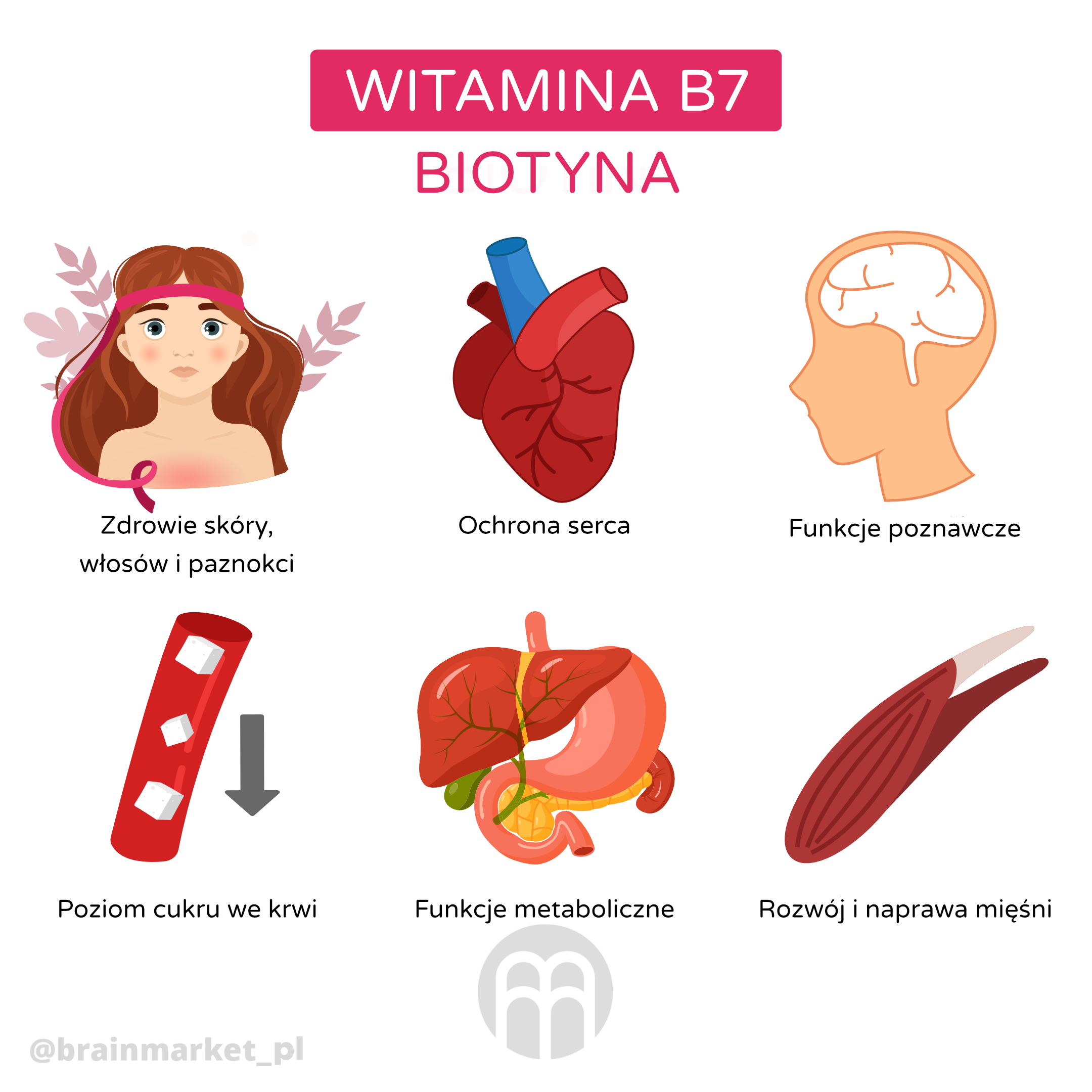 VitaminB7_infografika_pl